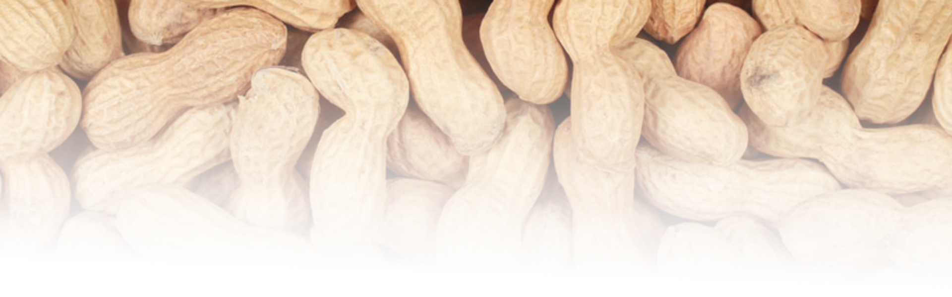 Peanut Food
